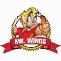 Mr. Wings